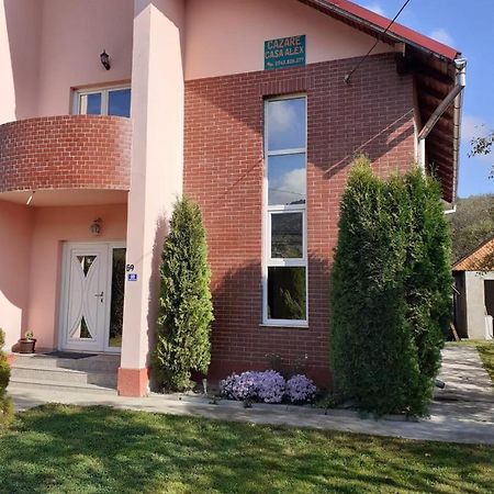 Casa Alex Hotel Viseu de Sus Exterior photo