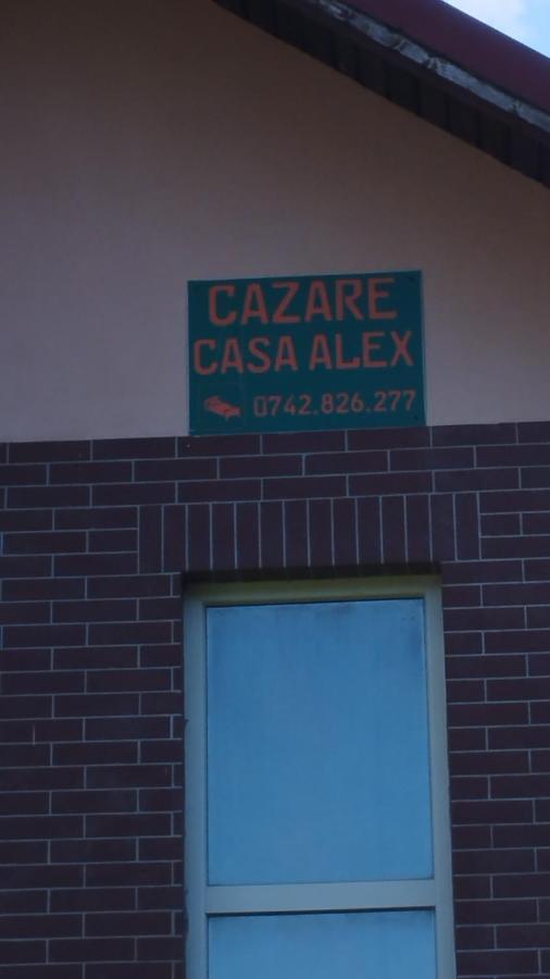 Casa Alex Hotel Viseu de Sus Exterior photo